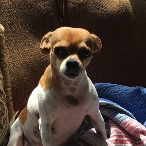 Meet your Posher, Amy